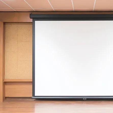 Моторизованные экраны