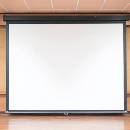 Моторизованные экраны